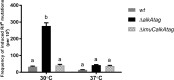Fig 12