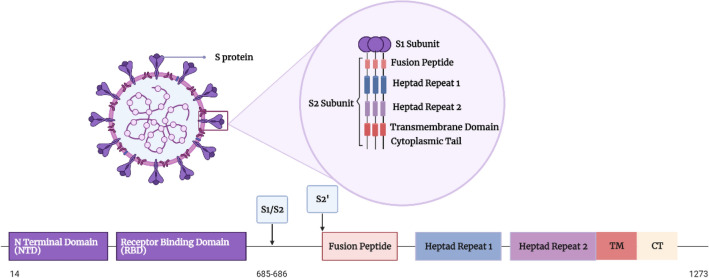 Fig. 1