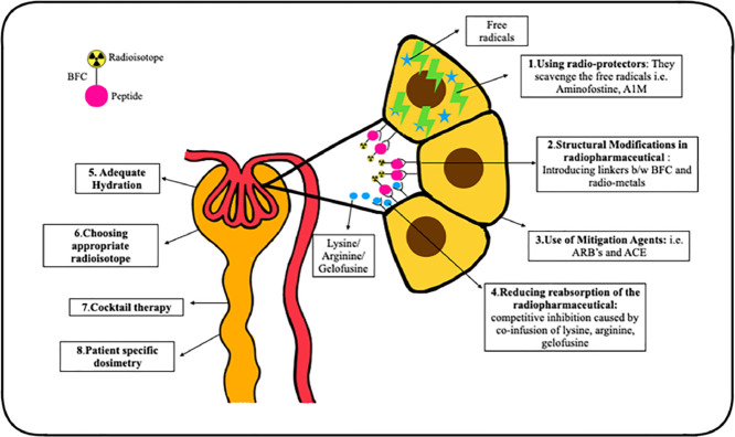 Image, graphical abstract