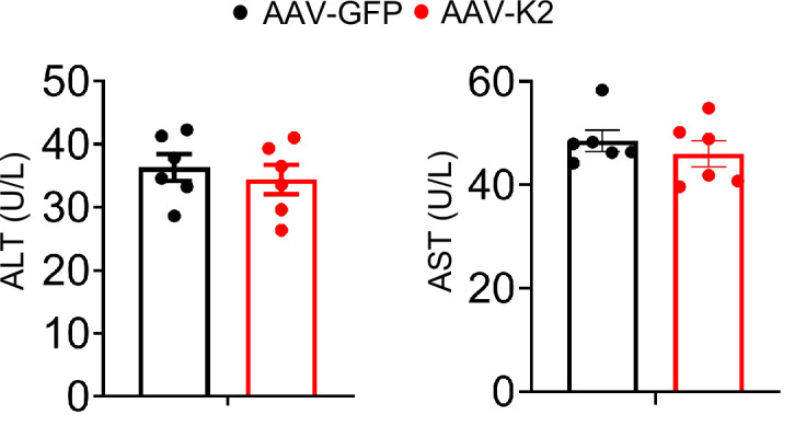 Figure 7—figure supplement 1.