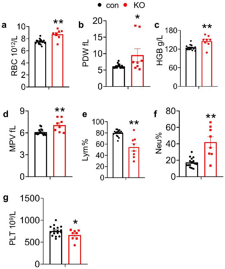 Figure 4—figure supplement 1.