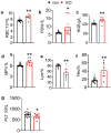 Figure 4—figure supplement 1.
