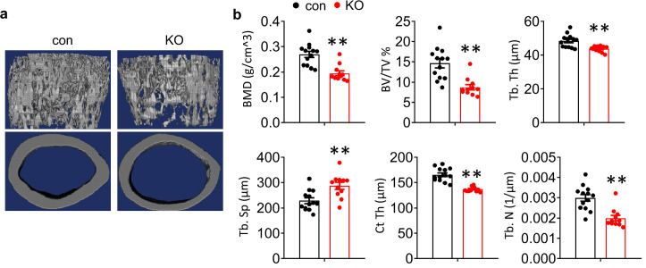 Figure 1—figure supplement 2.