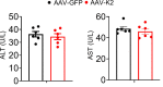 Figure 7—figure supplement 1.