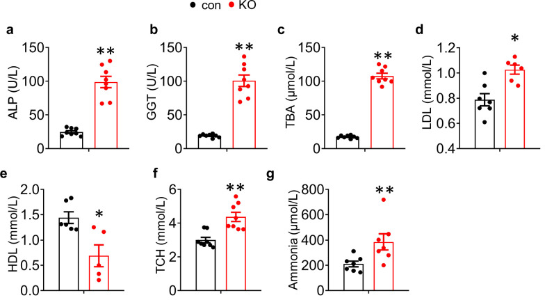 Figure 1—figure supplement 3.