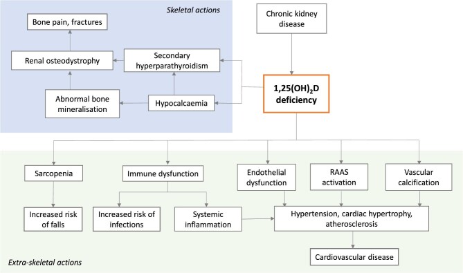 Figure 2: