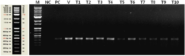 Figure 5