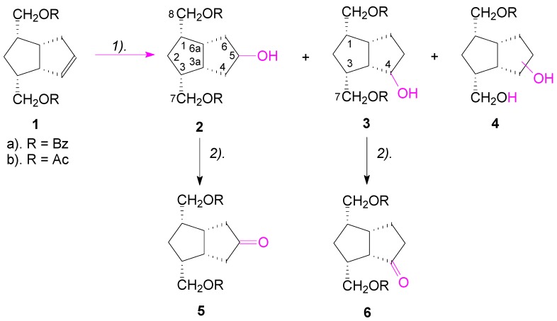 Scheme 1