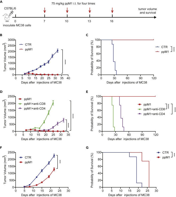 Figure 6