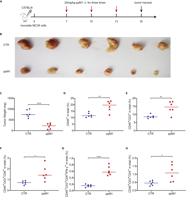 Figure 5