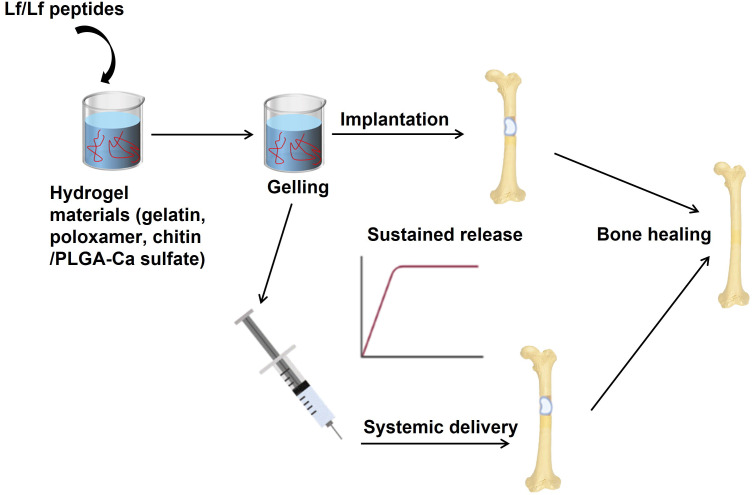 Figure 3