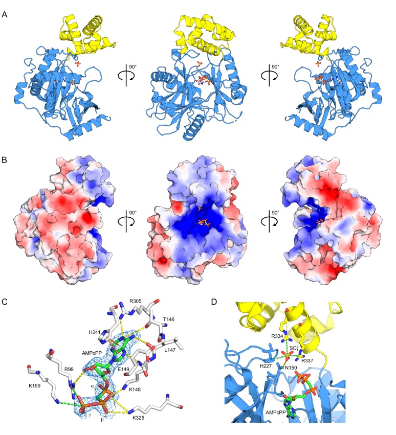 Figure 3.