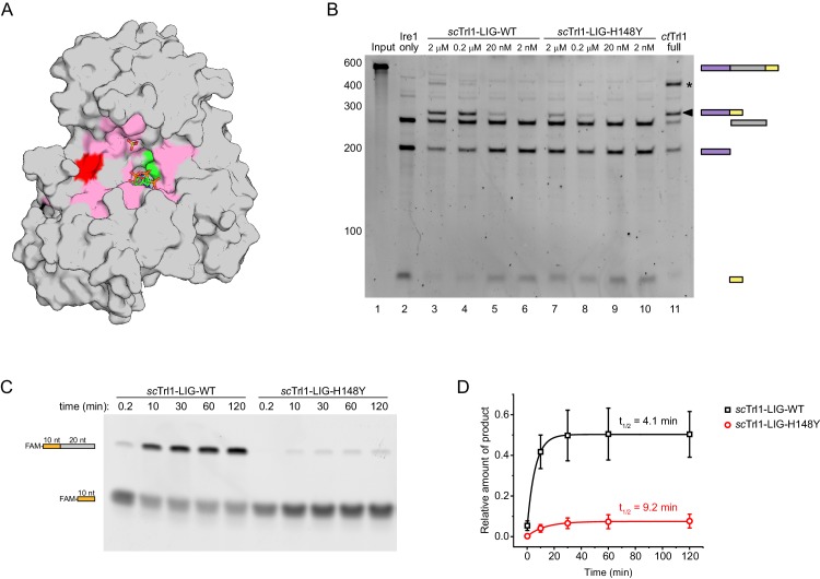 Figure 4.