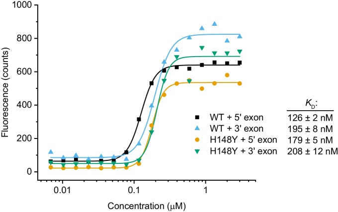 Figure 4—figure supplement 1.