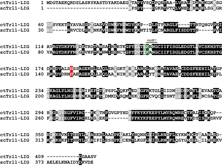 Figure 1—figure supplement 1.