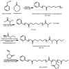 Scheme 51