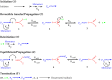Scheme 3