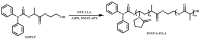 Scheme 48