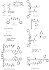 Scheme 93