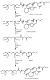 Scheme 79