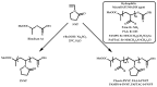 Scheme 31