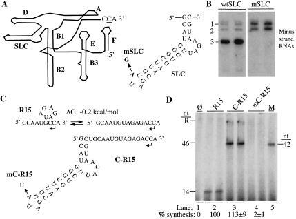 FIGURE 1.