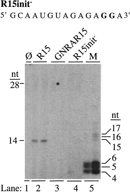 FIGURE 8.