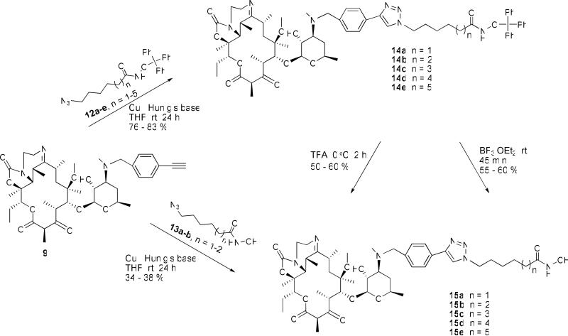 Scheme 3