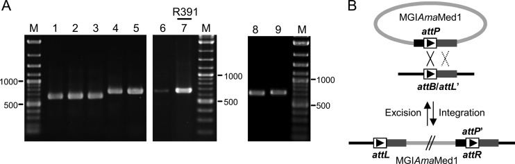 Fig 5