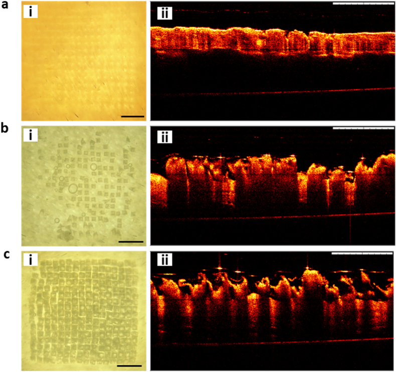 Fig. 10