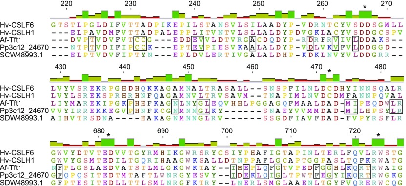 Figure 6.