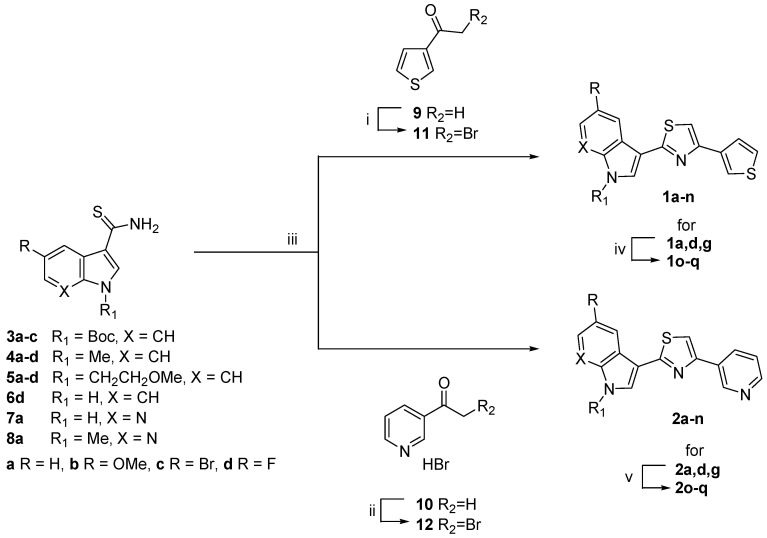 Scheme 1