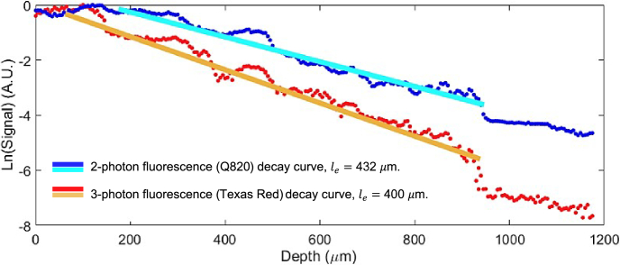 Fig. 4.