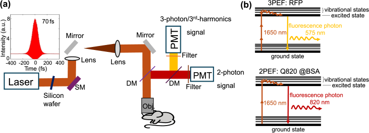 Fig. 1.