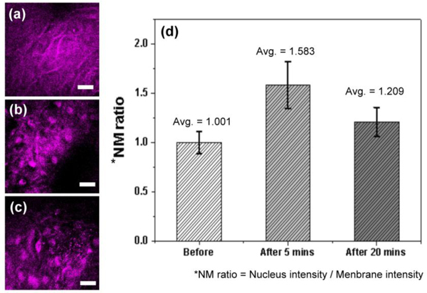 Fig. 7