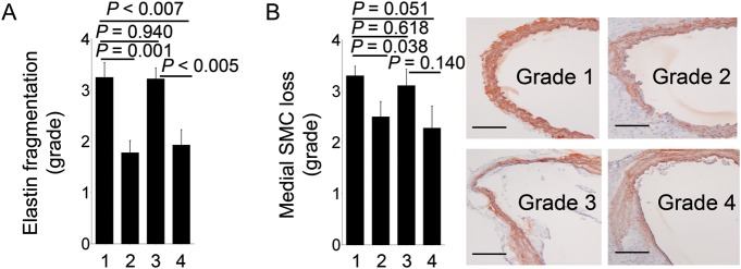 Figure 6