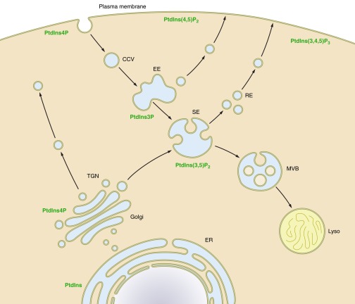 Figure 11.