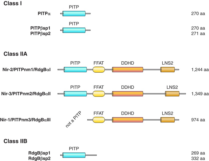 Figure 10.