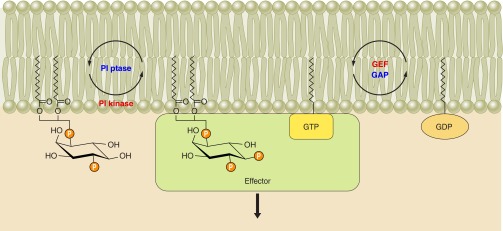 Figure 13.