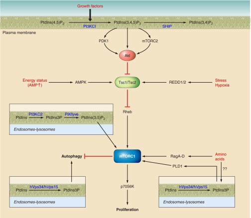 Figure 14.