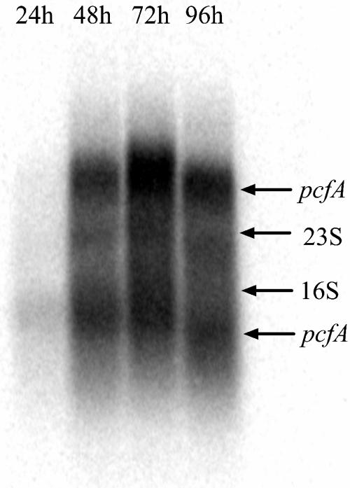 FIG. 5.