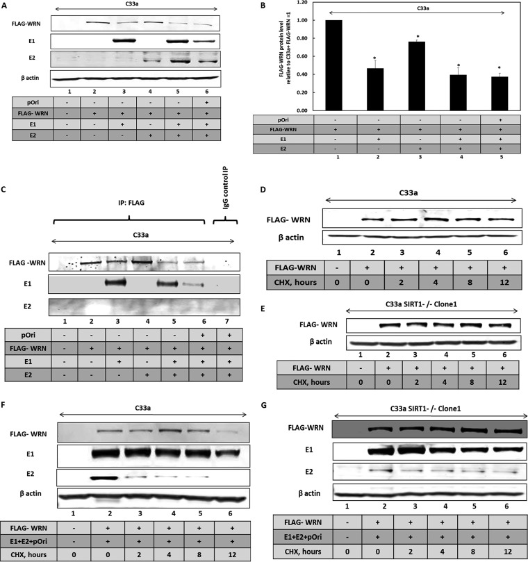 FIG 4