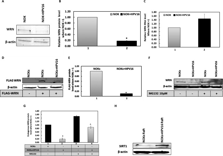 FIG 6