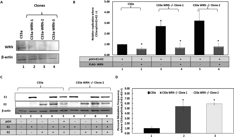 FIG 2