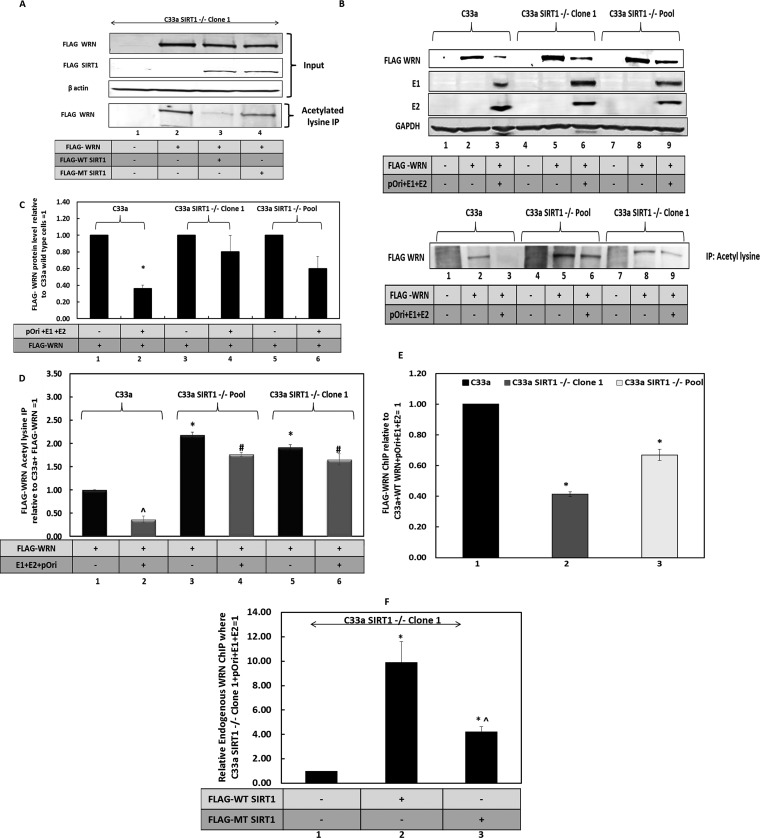 FIG 3