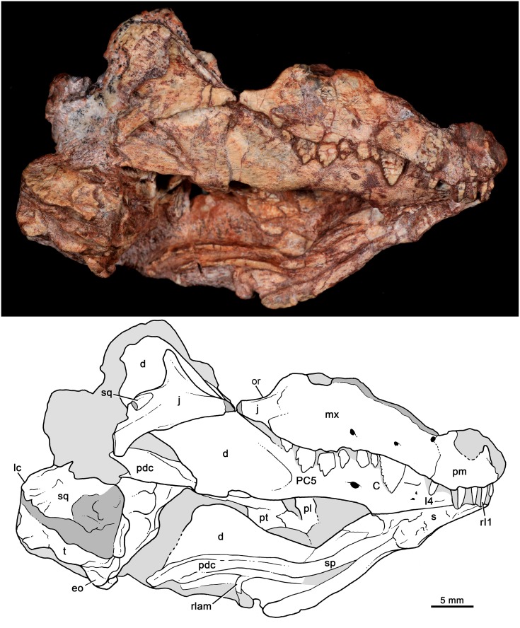 Fig 3