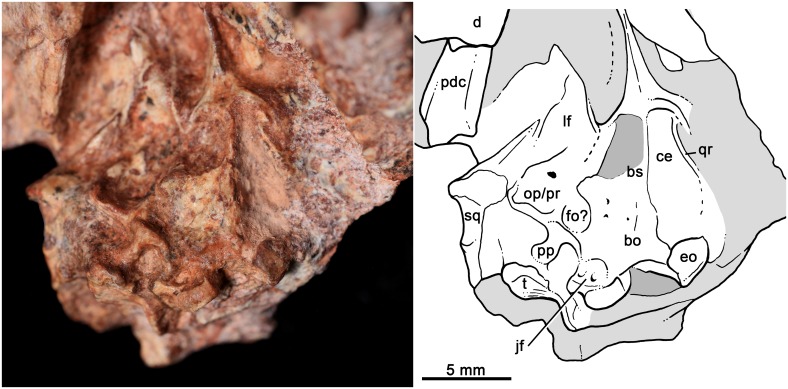 Fig 5