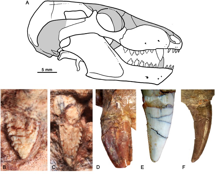 Fig 12