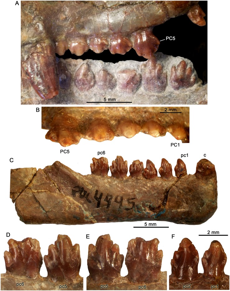 Fig 13