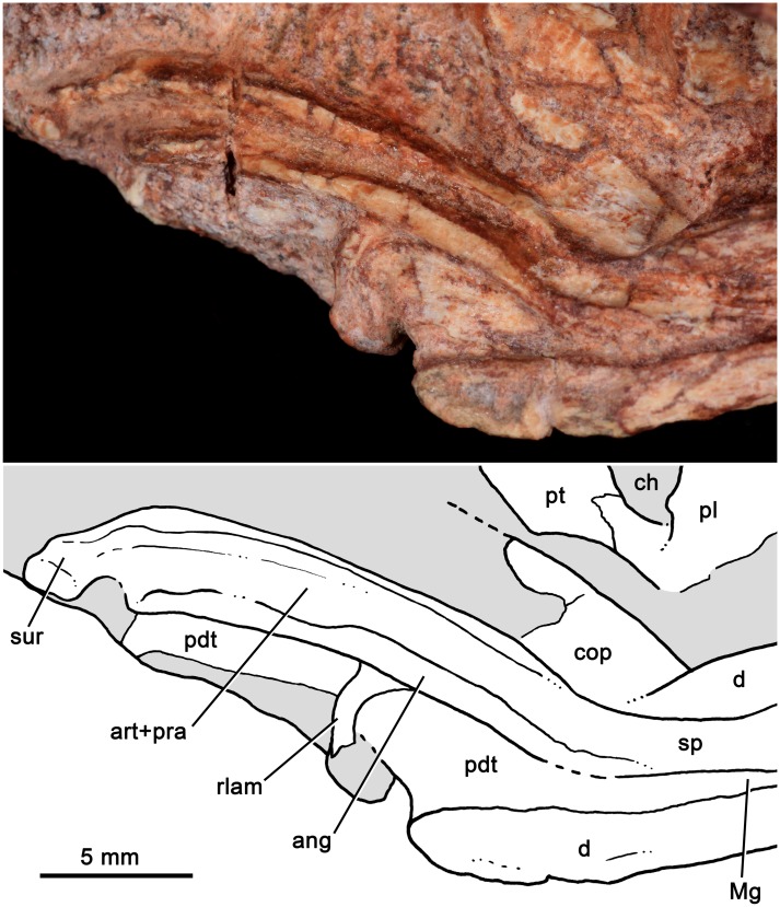 Fig 6